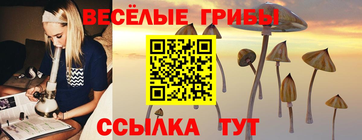 Галлюциногенные грибы Psilocybine cubensis  Псилоцибиновые грибы ЛСД  Новоуральск  Вход с VPN 
